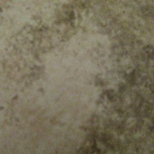 Meet your Posher, Kota